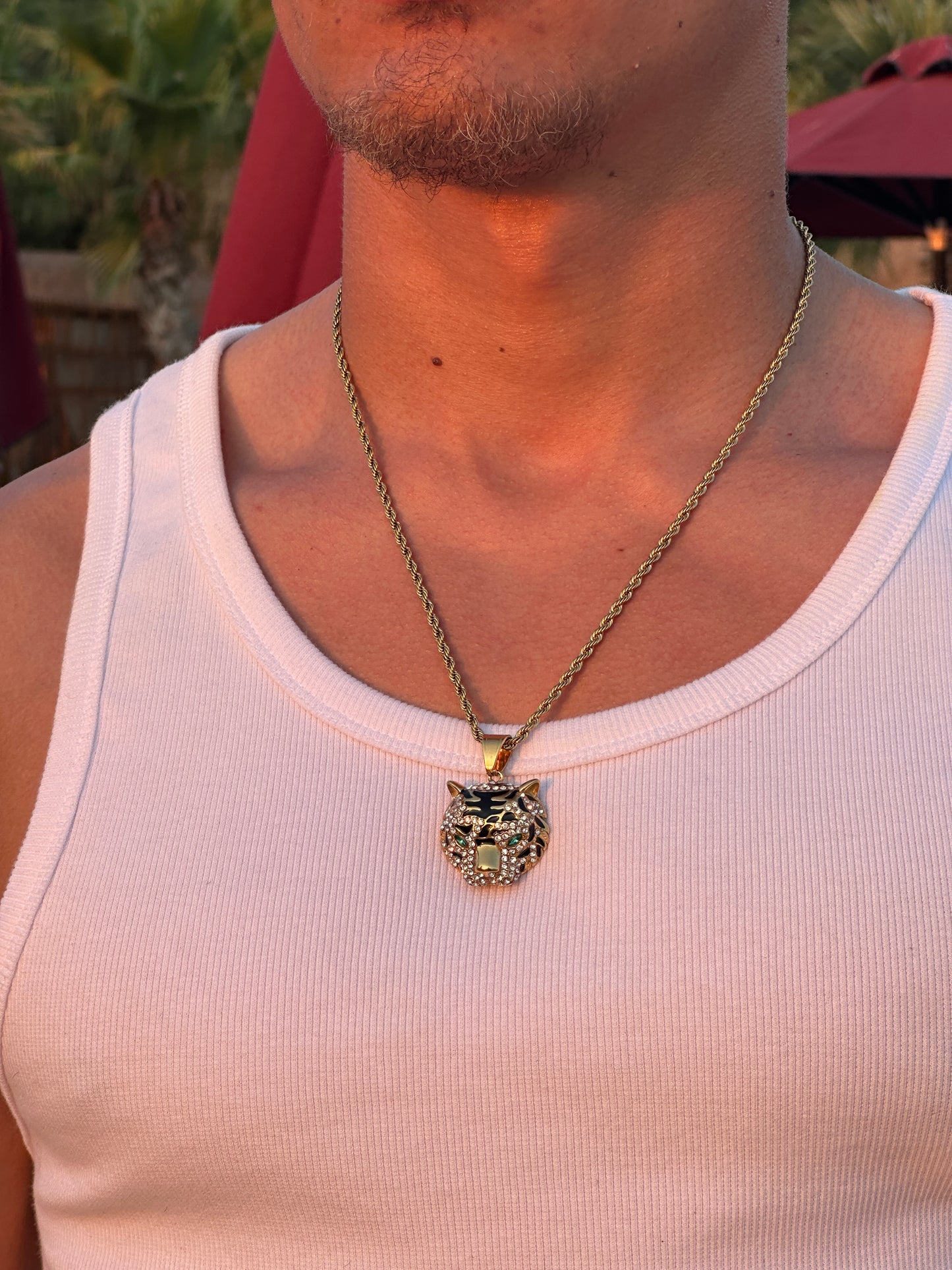 GOLD JAGUAR - ICED