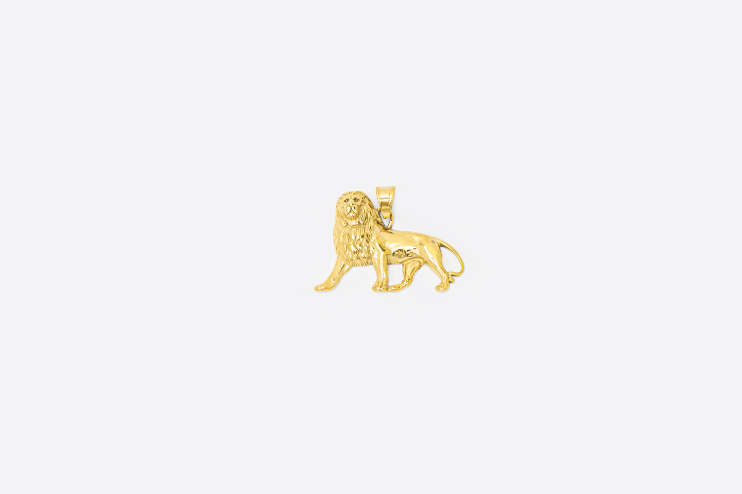 AFRICAN LION